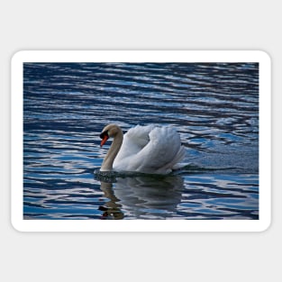 The Swan of lake Bled Sticker